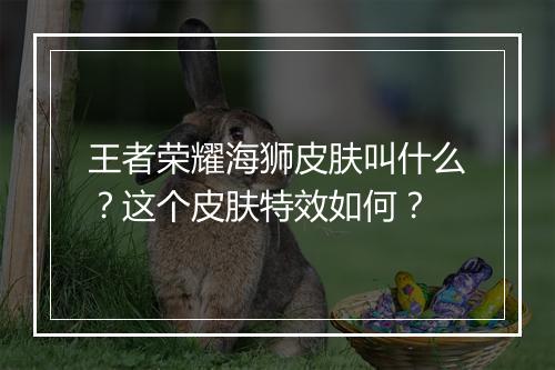 王者荣耀海狮皮肤叫什么？这个皮肤特效如何？