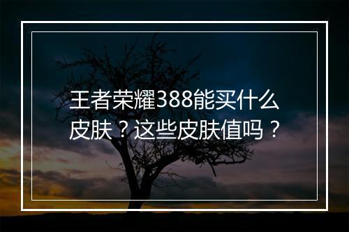 王者荣耀388能买什么皮肤？这些皮肤值吗？