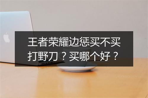 王者荣耀边惩买不买打野刀？买哪个好？