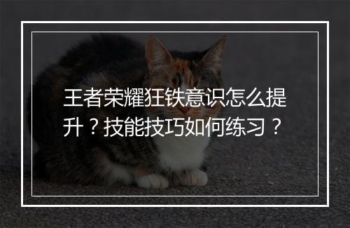 王者荣耀狂铁意识怎么提升？技能技巧如何练习？