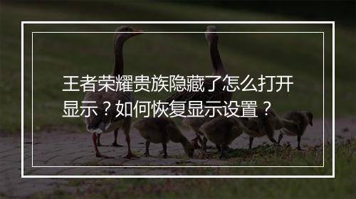 王者荣耀贵族隐藏了怎么打开显示？如何恢复显示设置？