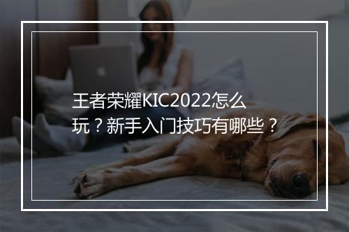 王者荣耀KIC2022怎么玩？新手入门技巧有哪些？