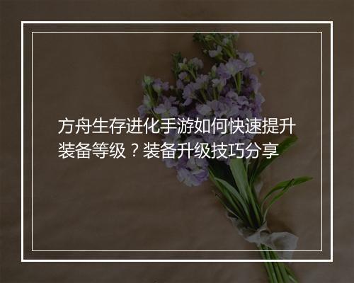 方舟生存进化手游如何快速提升装备等级？装备升级技巧分享