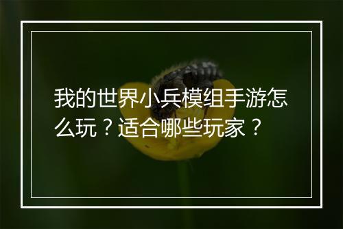 我的世界小兵模组手游怎么玩？适合哪些玩家？