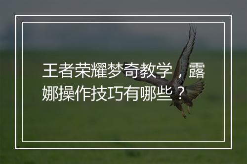 王者荣耀梦奇教学，露娜操作技巧有哪些？