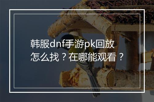 韩服dnf手游pk回放怎么找？在哪能观看？