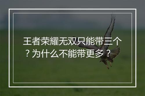 王者荣耀无双只能带三个？为什么不能带更多？