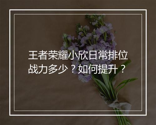 王者荣耀小欣日常排位战力多少？如何提升？