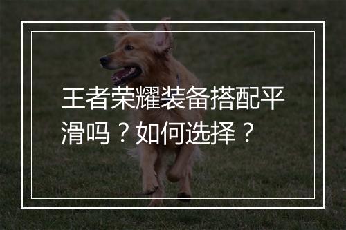 王者荣耀装备搭配平滑吗？如何选择？