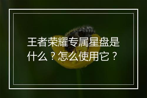 王者荣耀专属星盘是什么？怎么使用它？