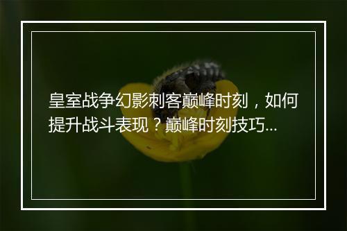 皇室战争幻影刺客巅峰时刻，如何提升战斗表现？巅峰时刻技巧揭秘！