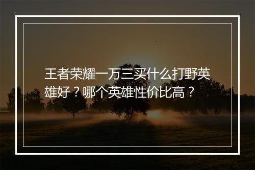 王者荣耀一万三买什么打野英雄好？哪个英雄性价比高？