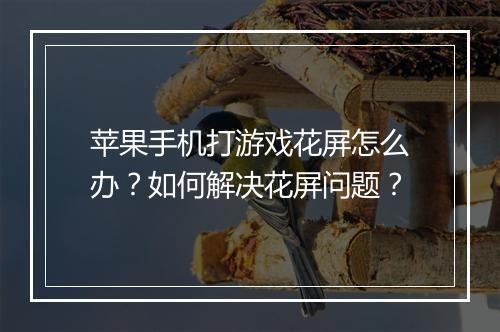 苹果手机打游戏花屏怎么办？如何解决花屏问题？