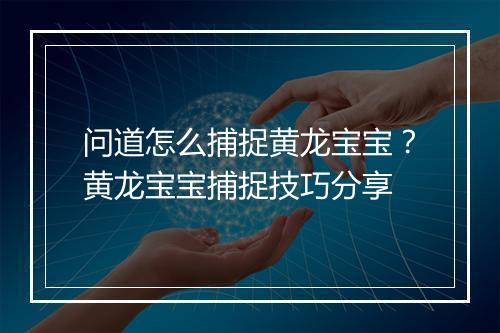 问道怎么捕捉黄龙宝宝？黄龙宝宝捕捉技巧分享