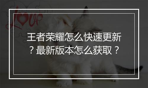 王者荣耀怎么快速更新？最新版本怎么获取？
