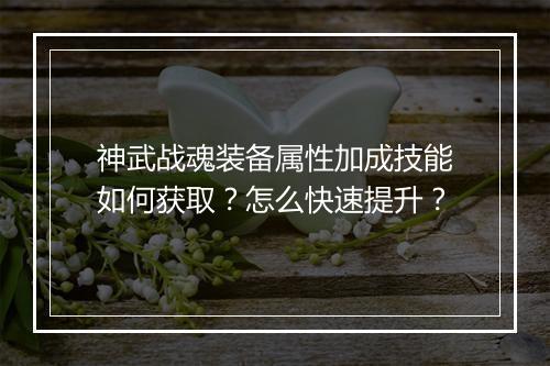 神武战魂装备属性加成技能如何获取？怎么快速提升？