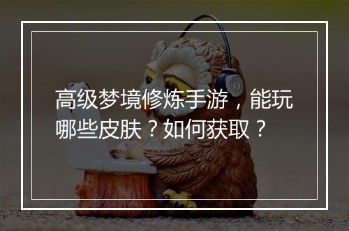 高级梦境修炼手游，能玩哪些皮肤？如何获取？