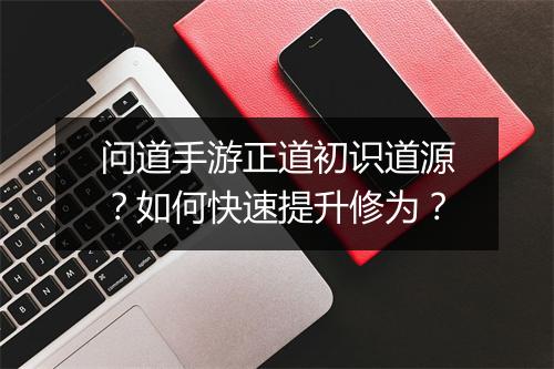 问道手游正道初识道源？如何快速提升修为？