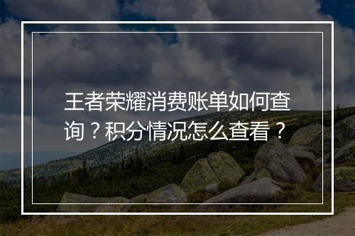 王者荣耀消费账单如何查询？积分情况怎么查看？
