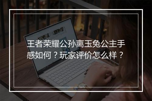 王者荣耀公孙离玉兔公主手感如何？玩家评价怎么样？