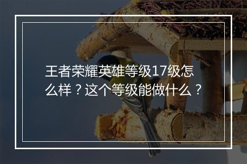 王者荣耀英雄等级17级怎么样？这个等级能做什么？