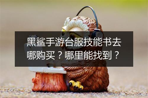 黑鲨手游台服技能书去哪购买？哪里能找到？