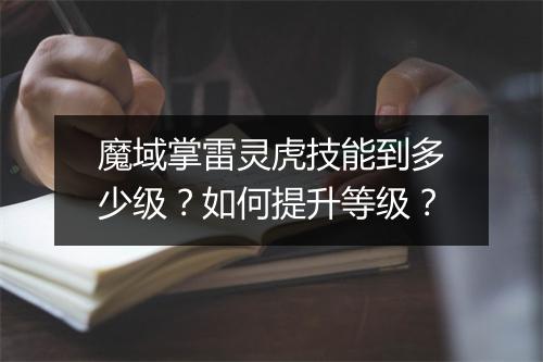魔域掌雷灵虎技能到多少级？如何提升等级？