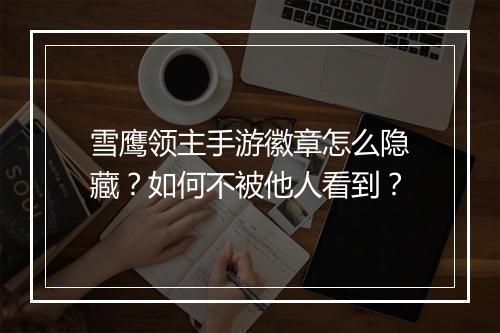 雪鹰领主手游徽章怎么隐藏？如何不被他人看到？