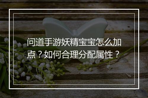 问道手游妖精宝宝怎么加点？如何合理分配属性？