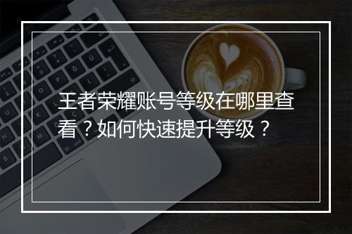 王者荣耀账号等级在哪里查看？如何快速提升等级？