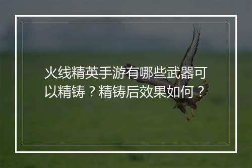 火线精英手游有哪些武器可以精铸？精铸后效果如何？