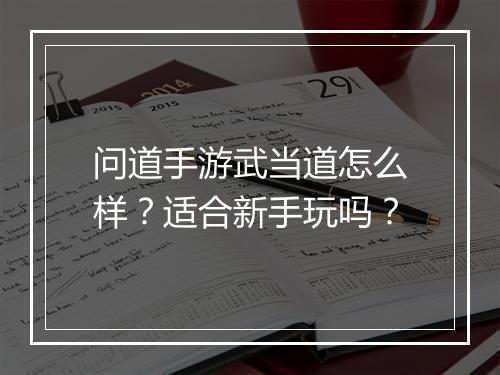 问道手游武当道怎么样？适合新手玩吗？
