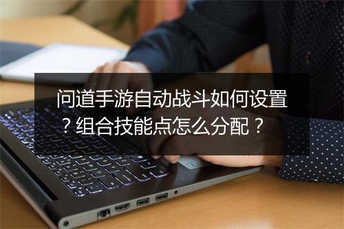 问道手游自动战斗如何设置？组合技能点怎么分配？