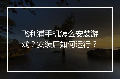 飞利浦手机怎么安装游戏？安装后如何运行？