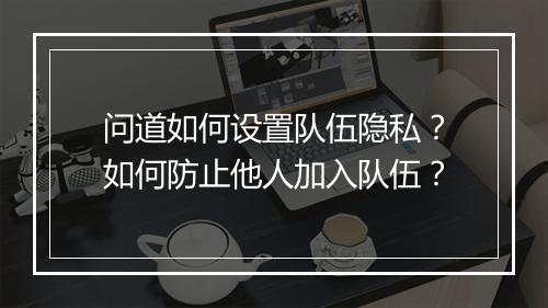 问道如何设置队伍隐私？如何防止他人加入队伍？