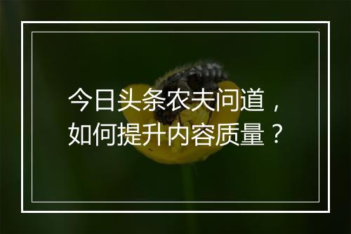 今日头条农夫问道，如何提升内容质量？