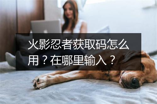 火影忍者获取码怎么用？在哪里输入？