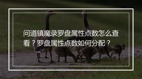问道镇魔录罗盘属性点数怎么查看？罗盘属性点数如何分配？