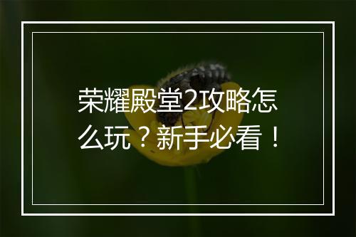 荣耀殿堂2攻略怎么玩？新手必看！
