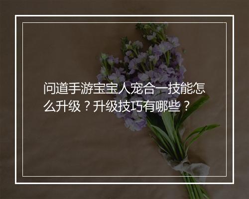 问道手游宝宝人宠合一技能怎么升级？升级技巧有哪些？