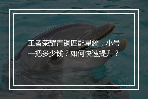 王者荣耀青铜匹配星耀，小号一把多少钱？如何快速提升？