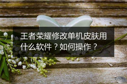 王者荣耀修改单机皮肤用什么软件？如何操作？