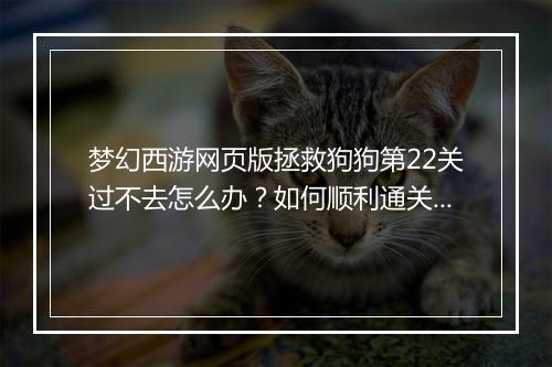 梦幻西游网页版拯救狗狗第22关过不去怎么办？如何顺利通关？