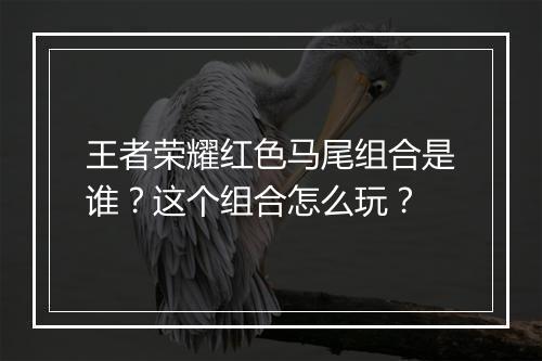 王者荣耀红色马尾组合是谁？这个组合怎么玩？