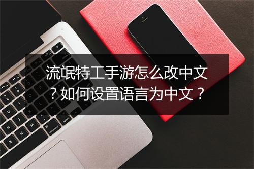流氓特工手游怎么改中文？如何设置语言为中文？