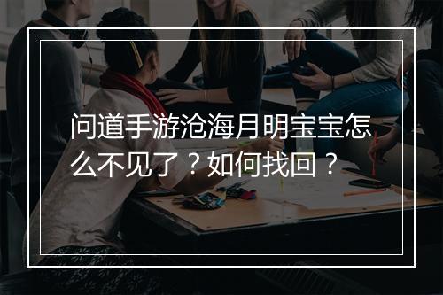 问道手游沧海月明宝宝怎么不见了？如何找回？