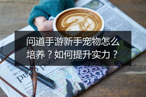 问道手游新手宠物怎么培养？如何提升实力？