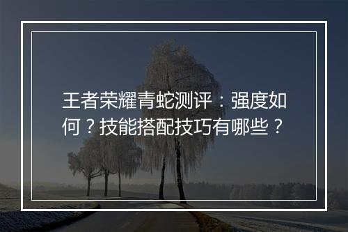 王者荣耀青蛇测评：强度如何？技能搭配技巧有哪些？