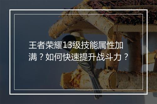 王者荣耀13级技能属性加满？如何快速提升战斗力？