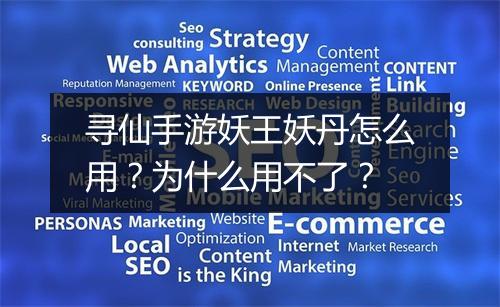 寻仙手游妖王妖丹怎么用？为什么用不了？